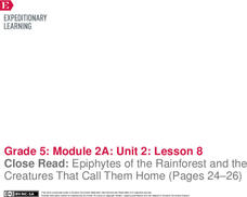 Close Read: Epiphytes of the Rainforest and the Creatures That Call Them Home (Pages 24–26) Lesson Plan Close Read: Epiphytes of the Rainforest and the Creatures That Call Them Home (Pages 24–26) Lesson Plan