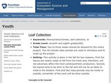 Leaf Collection Lesson Plan Leaf Collection Lesson Plan