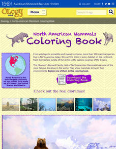 North American Mammals Coloring Book Activity North American Mammals Coloring Book Activity