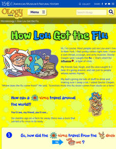 How Lou Got the Flu Interactive How Lou Got the Flu Interactive