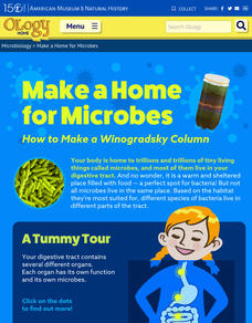 Make a Home for Microbes Activity Make a Home for Microbes Activity