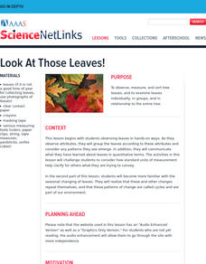 Look At Those Leaves! Lesson Plan Look At Those Leaves! Lesson Plan