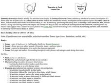 Learning To Look Lesson Plan Learning To Look Lesson Plan
