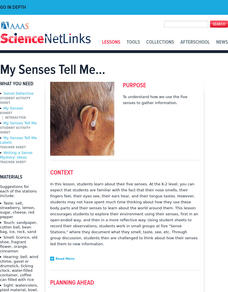 My Senses Tell Me... Lesson Plan My Senses Tell Me... Lesson Plan