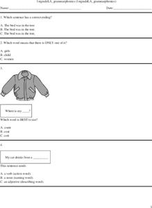 1st Grade Grammar/Phonics Worksheet 1st Grade Grammar/Phonics Worksheet