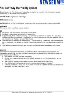 You Can’t Say That: In My Opinion Lesson Plan You Can’t Say That: In My Opinion Lesson Plan
