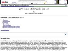 Qué comes tú?/What do you eat? Lesson Plan Qué comes tú?/What do you eat? Lesson Plan