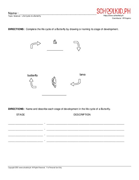 Life Cycle of a Butterfly Worksheet Life Cycle of a Butterfly Worksheet