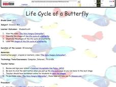 Life Cycle of a Butterfly Lesson Plan Life Cycle of a Butterfly Lesson Plan