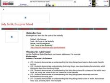 Life Cycle of the Butterfly Lesson Plan Life Cycle of the Butterfly Lesson Plan