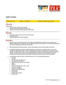 Life Cycles Lesson Plan Life Cycles Lesson Plan