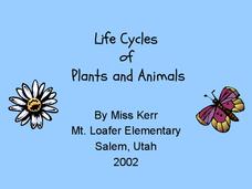 Life Cycles of Plants and Animals PPT Life Cycles of Plants and Animals PPT