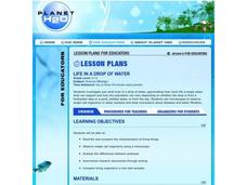 Life in a Drop of Water Lesson Plan Life in a Drop of Water Lesson Plan