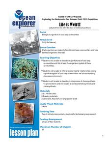 Life is Weird Lesson Plan Life is Weird Lesson Plan