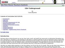 Life Underground Lesson Plan Life Underground Lesson Plan