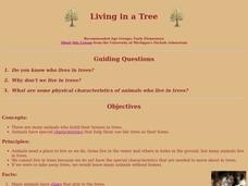 Living in a Tree Lesson Plan Living in a Tree Lesson Plan