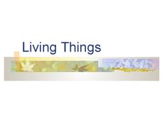 Living Things PPT Living Things PPT