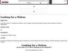 Looking for a Walrus Lesson Plan Looking for a Walrus Lesson Plan