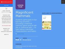 Magnificent Mammals Lesson Plan Magnificent Mammals Lesson Plan