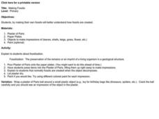 Making Fossils Lesson Plan Making Fossils Lesson Plan