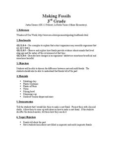 Making Fossils Lesson Plan Making Fossils Lesson Plan