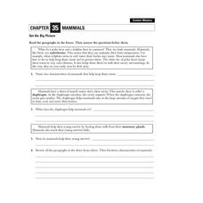 Mammals Worksheet Mammals Worksheet