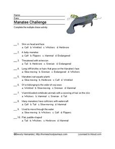 Manatee Vocabulary Worksheet Manatee Vocabulary Worksheet
