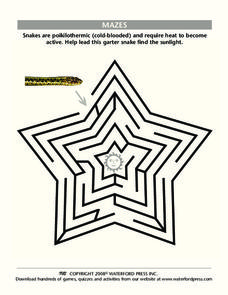 Mazes Lesson Plan Mazes Lesson Plan