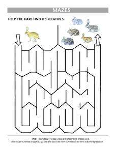 Mazes Worksheet Mazes Worksheet