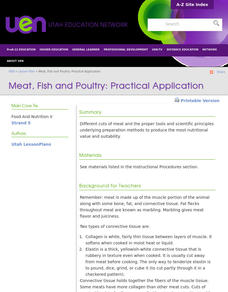 Meat, Fish and Poultry: Practical Application Lesson Plan Meat, Fish and Poultry: Practical Application Lesson Plan