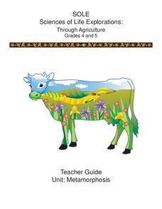 Metamorphosis Lesson Plan Metamorphosis Lesson Plan