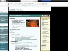 Micro-Organisms Lesson Plan Micro-Organisms Lesson Plan