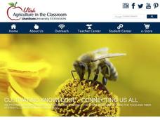 Microbe Experimentation Lesson Plan Microbe Experimentation Lesson Plan