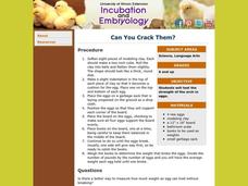 Can You Crack Them? Lesson Plan Can You Crack Them? Lesson Plan