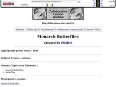Monarch Butterflies Lesson Plan Monarch Butterflies Lesson Plan