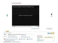 Monarch Butterflies Instructional Video Monarch Butterflies Instructional Video