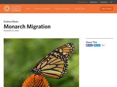 Monarch Migration Instructional Video Monarch Migration Instructional Video