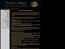 Mussel Identification Activity Lesson Plan Mussel Identification Activity Lesson Plan
