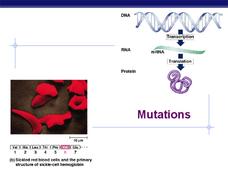 Mutations PPT Mutations PPT