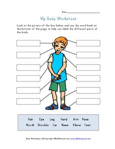 My Body Worksheet My Body Worksheet