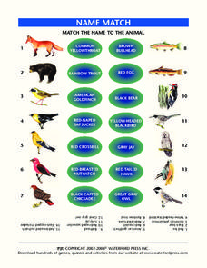 Name Match Lesson Plan Name Match Lesson Plan