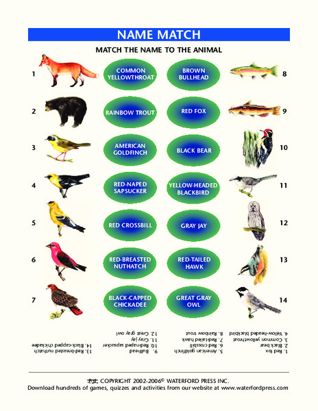Name Match Lesson Plan Name Match Lesson Plan