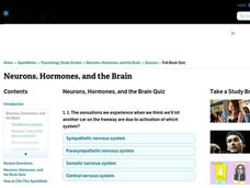 Neurons, Hormones and the Brain Worksheet Neurons, Hormones and the Brain Worksheet