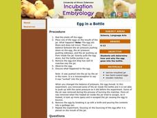 Egg in a Bottle Lesson Plan Egg in a Bottle Lesson Plan