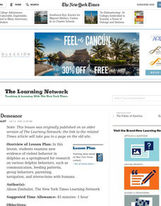 Dolphin Demeanor Lesson Plan Dolphin Demeanor Lesson Plan