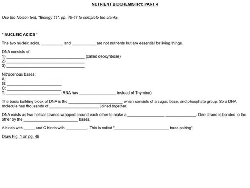 Nutrient Biochemistry Worksheet Nutrient Biochemistry Worksheet