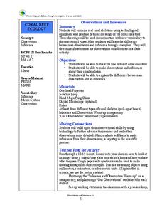 Observations and Inferences Lesson Plan Observations and Inferences Lesson Plan
