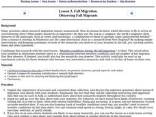 Observing Fall Migrants Lesson Plan Observing Fall Migrants Lesson Plan