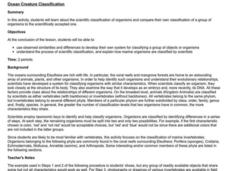 Ocean Creature Classification Lesson Plan Ocean Creature Classification Lesson Plan