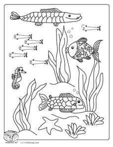 Ocean Life Worksheet Ocean Life Worksheet